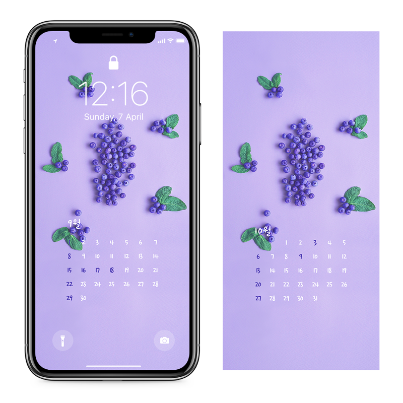 05 블루베리 AB - 2024년9월 아이폰달력배경화면