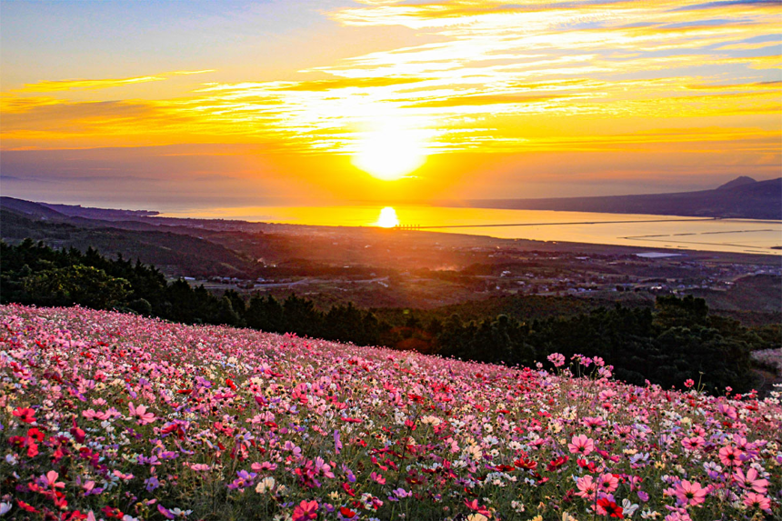 계절의 변화를 세분화한 24 절기 중 '추분' 이해하기