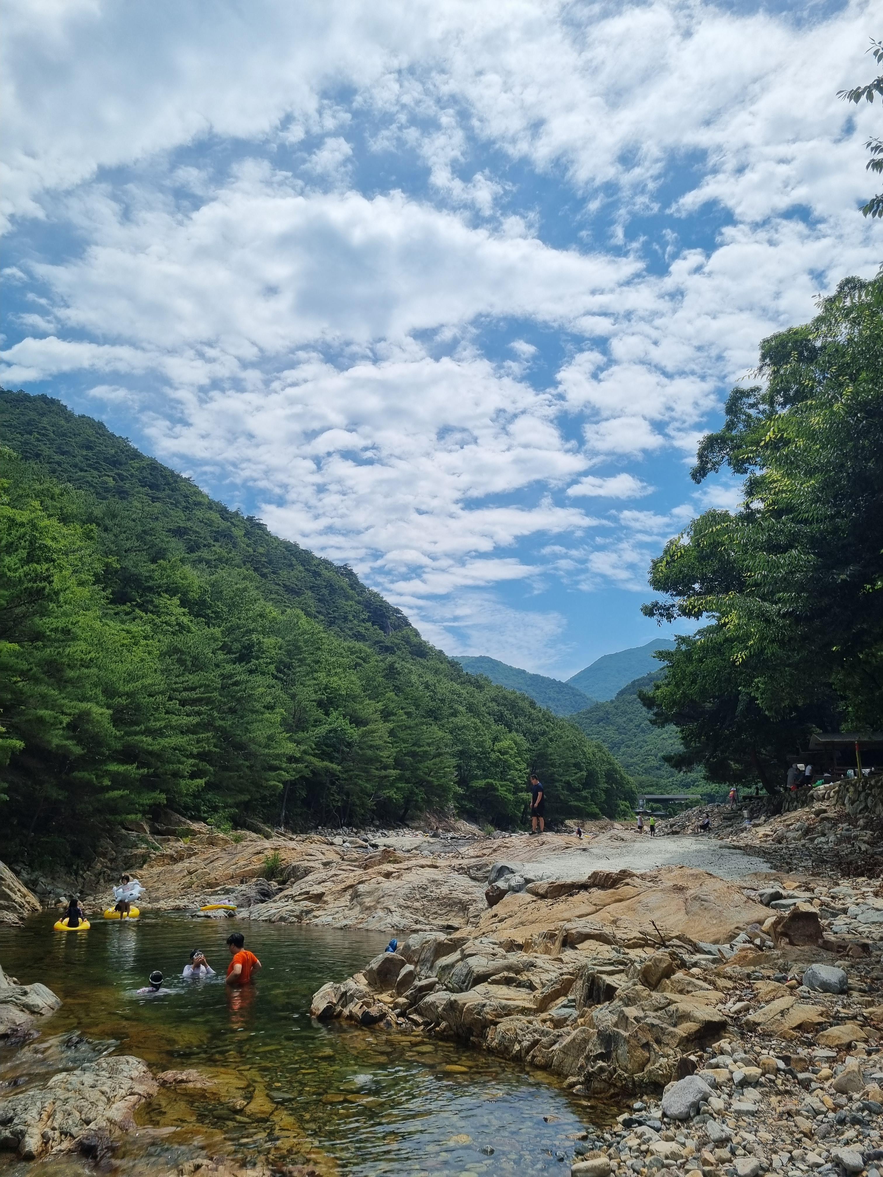 둥지펜션캠핑장