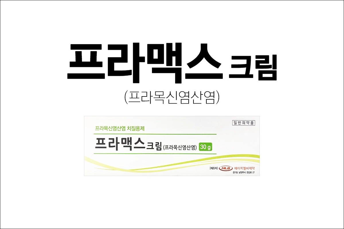 프라맥스크림 가격 효능 효과 부작용 프라목신염산염 치질약 치질크림