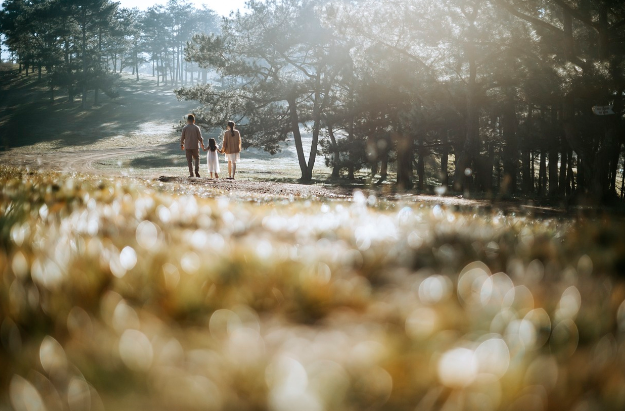 가족 여행