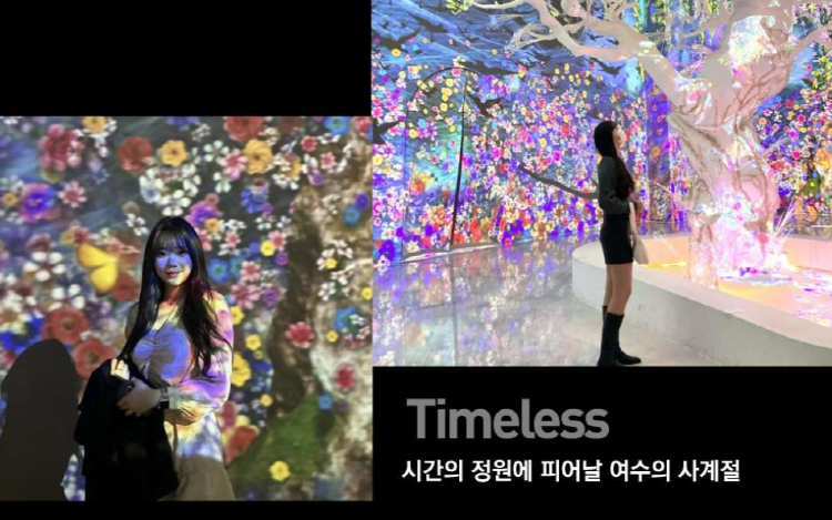여수 녹테마레