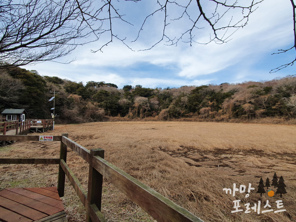 물영아리 오름 습지