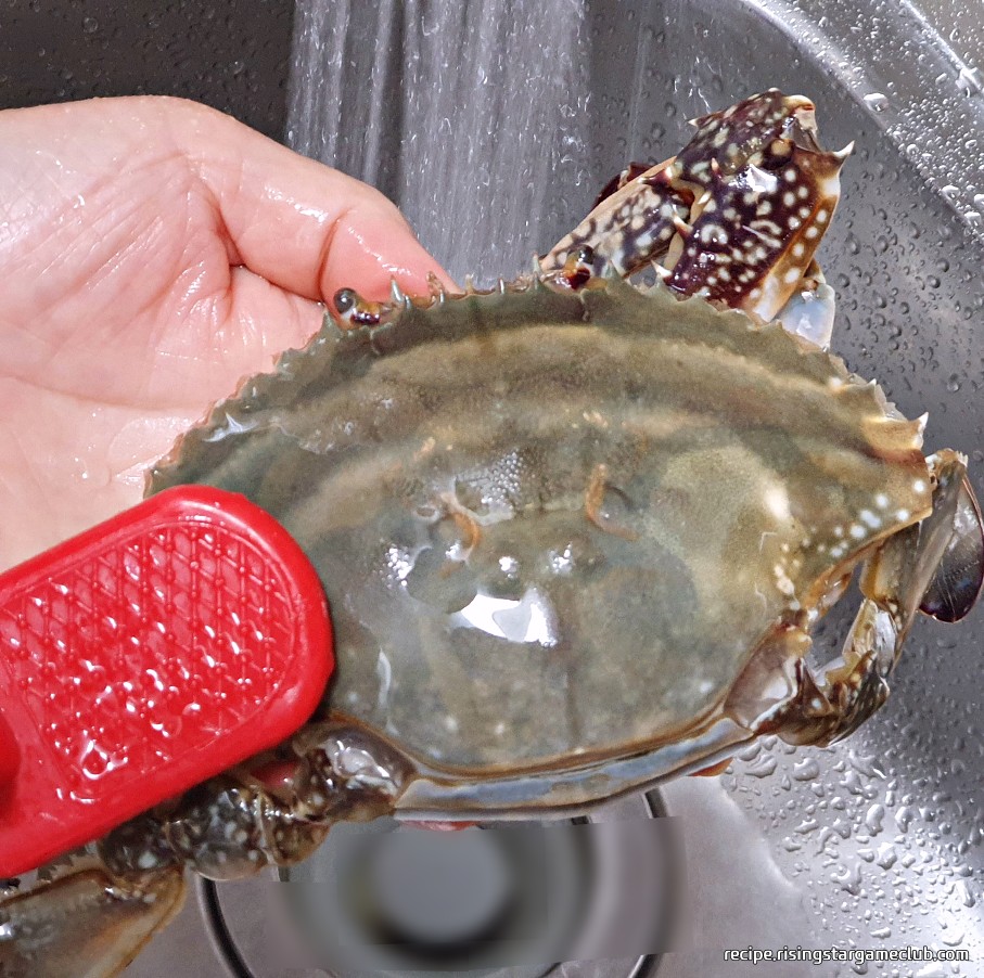 맛있는 양념게장에 들어갈 꽃게의 등딱지를 솔로 씻어주는 사진