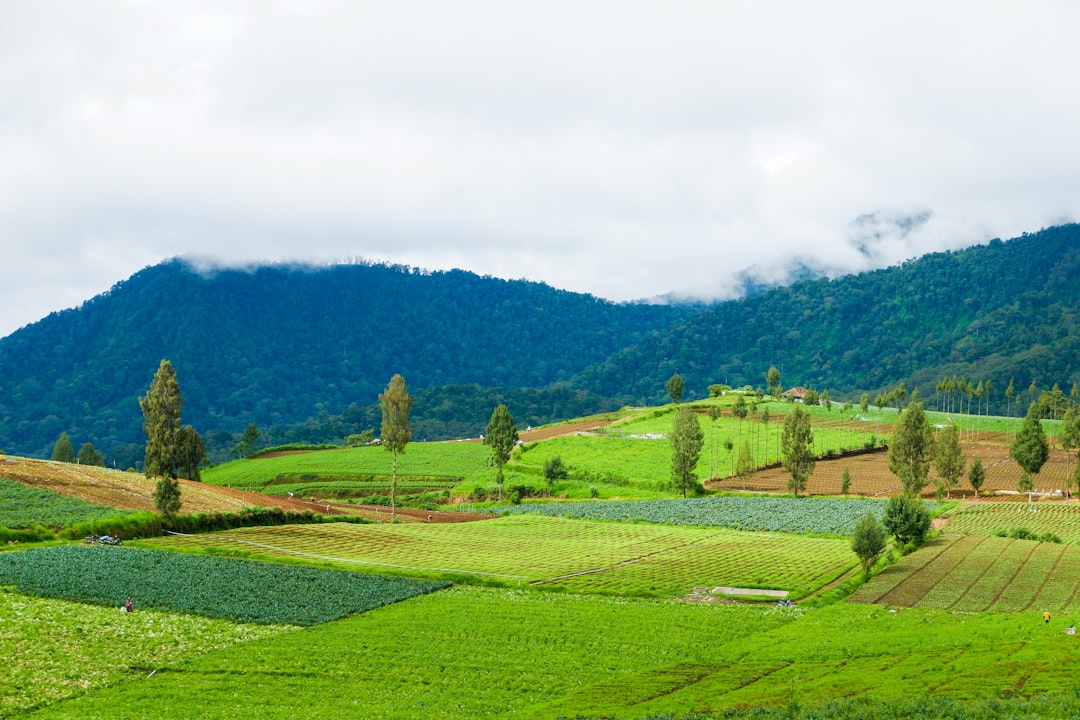land