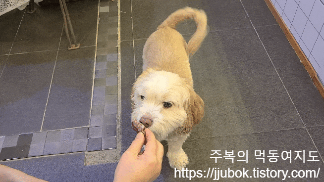 슈비듀밥-돼지귀-급여