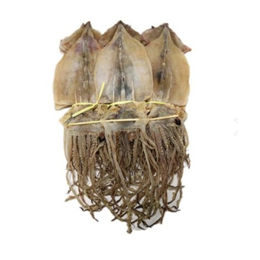 반건조 오징어 - 경북 영덕