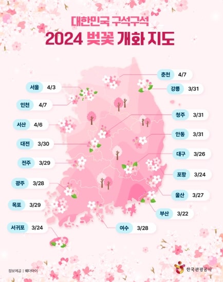 2024년-4월-국내여행-벚꽃시기-황금시기-전국-봄축제-봄행사-볼거리-TOP5-한눈에-알아보기