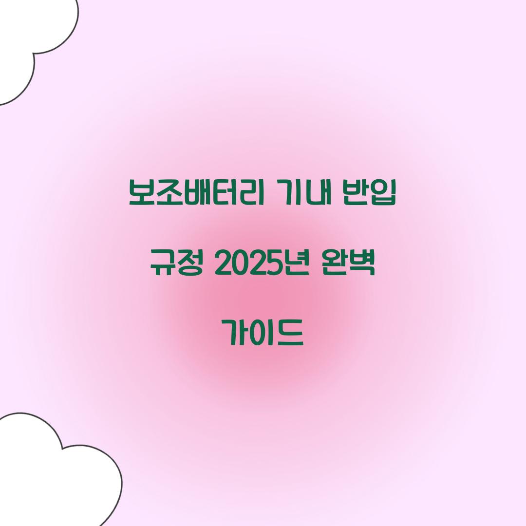 보조배터리 기내 반입 규정