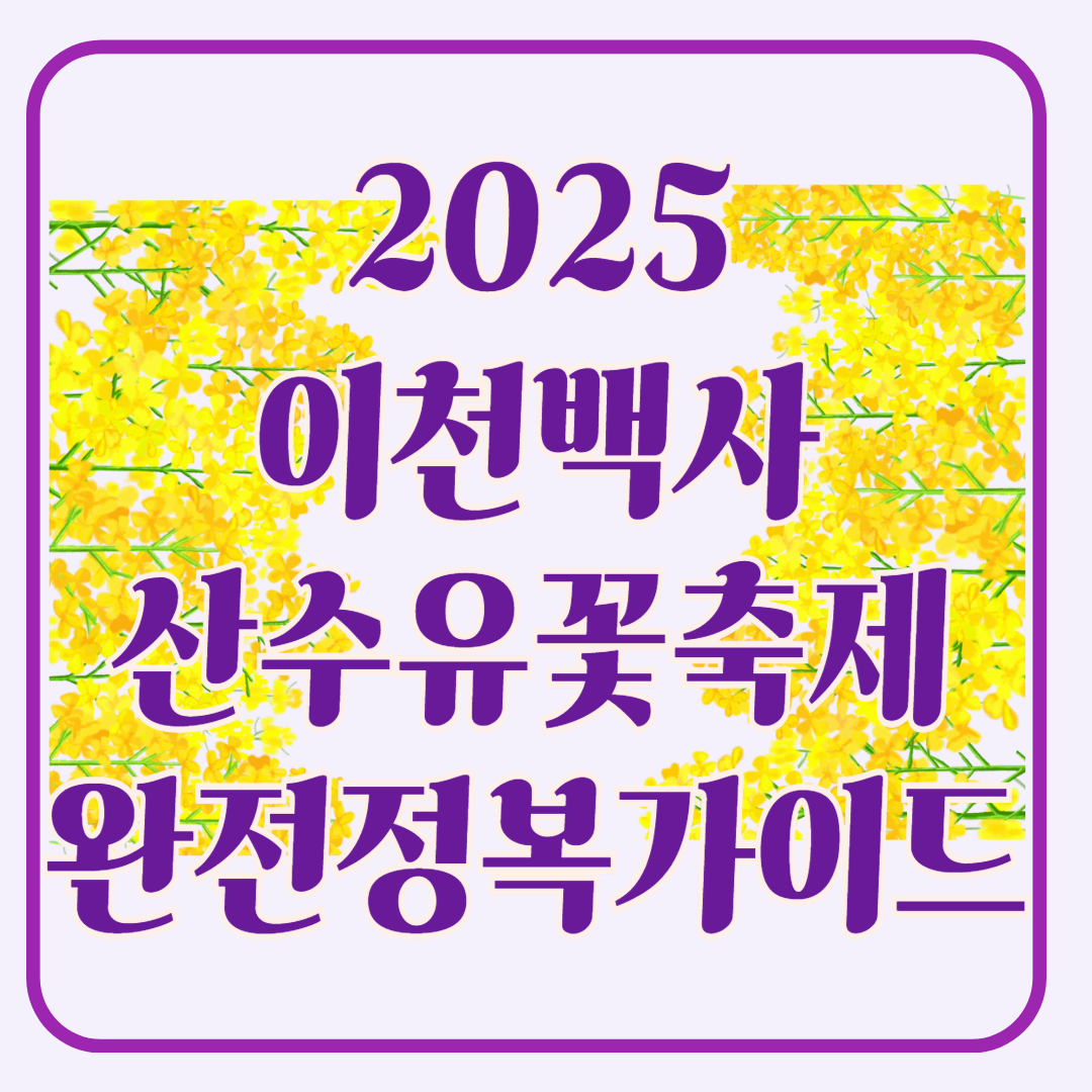 2025 이천백사 산수유꽃축제 완전 정복 가이드