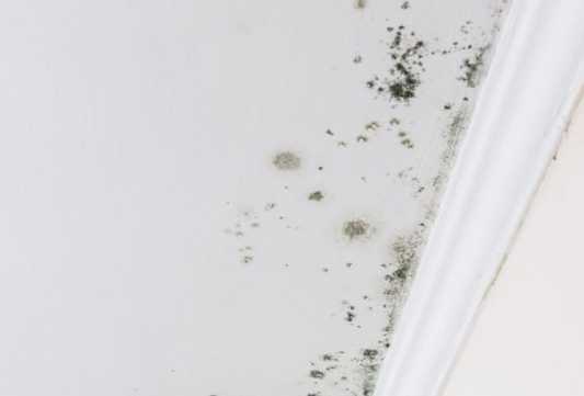 습기로 인한 천장 곰팡이 발생 흔적들