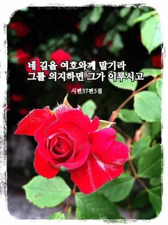 시편 5장 3절 읽기 - 여호와여 아침에 주께서 나의 소리를 들으시리니 아침에 내가 주께 기도하고 바라리이다_15