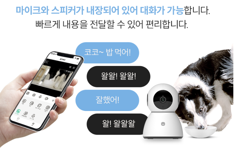 헤이홈 홈캠 사용 후기