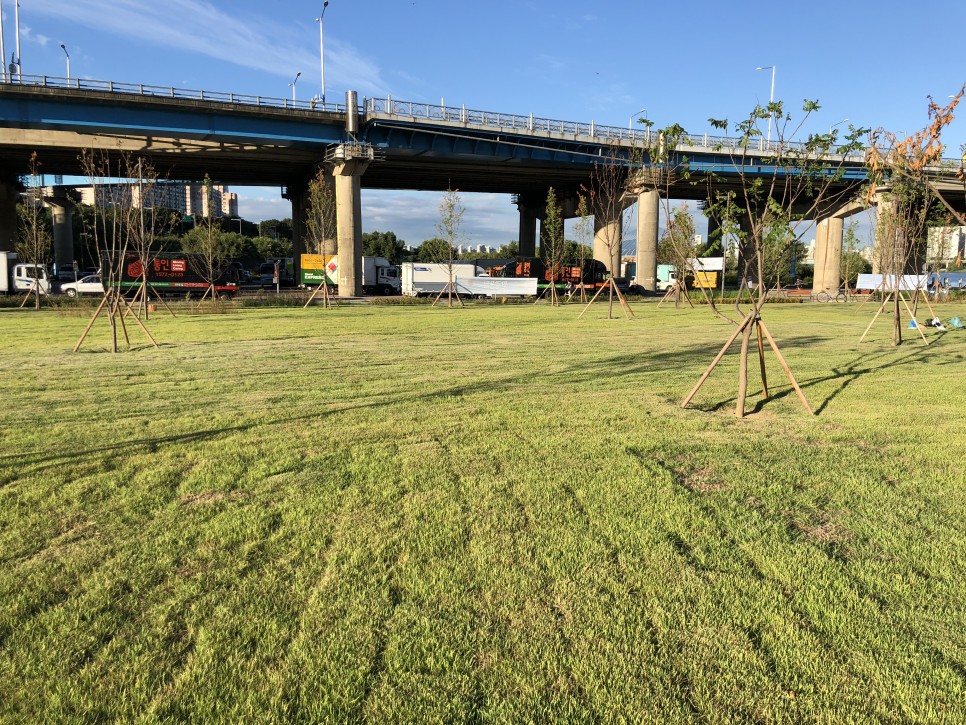 강동구 천호동 강동파크골프장 (강동구민 가능)
