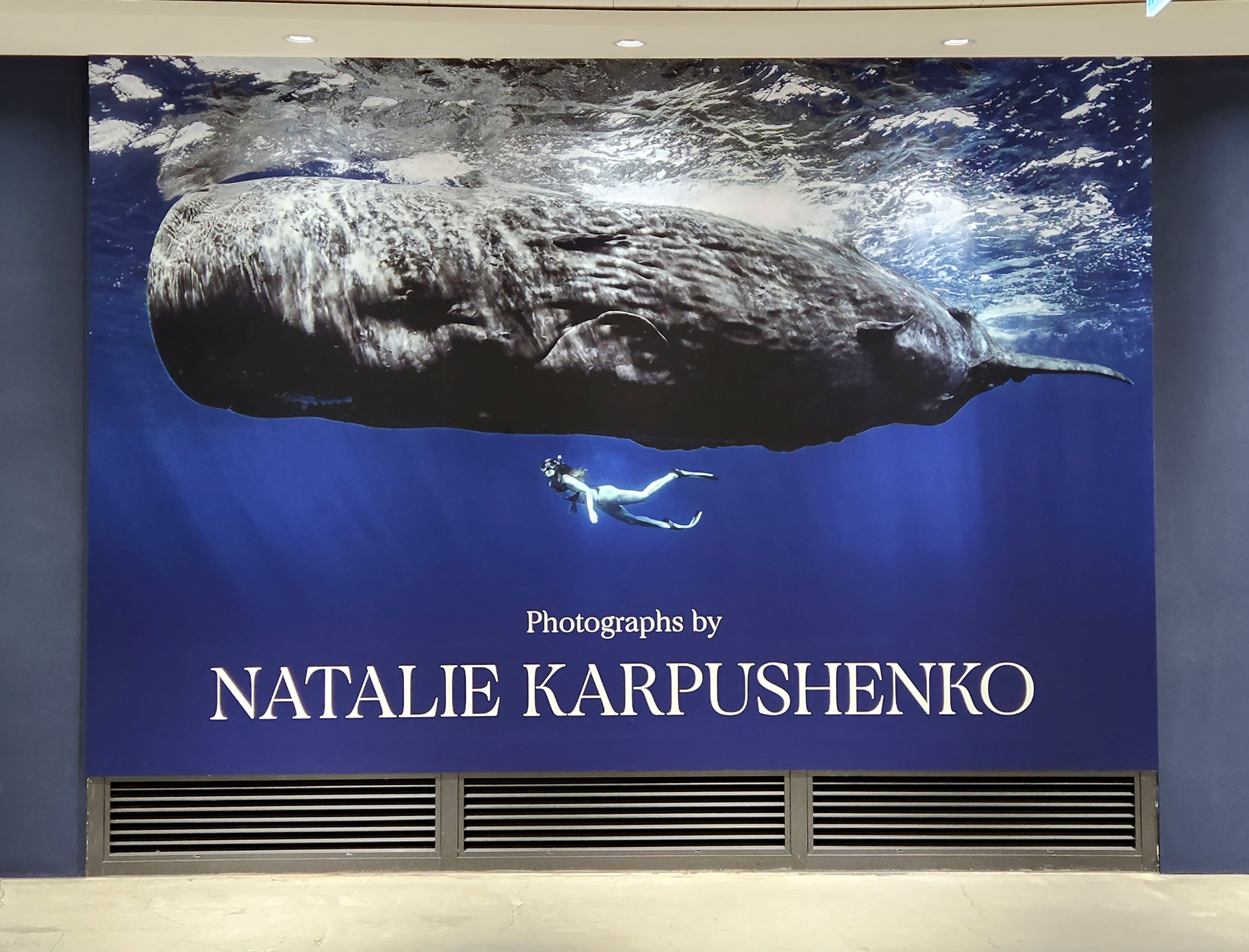 서울 전시회 나탈리 카르푸센코 사진전