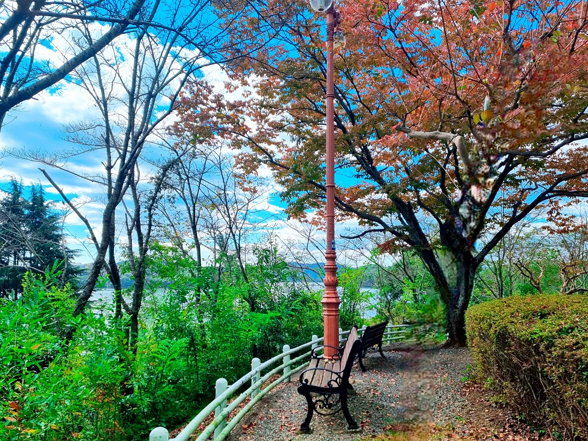 진주 가볼만한곳 진양호 공원: 진경양지 카페, 물빛갤러리, 반영이 예쁜 호수 둘레길