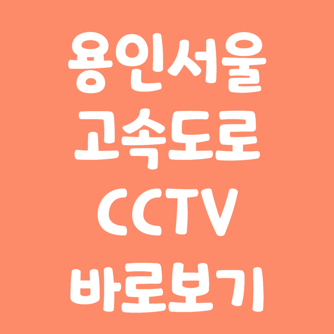 실시간 용인서울 고속도로 CCTV 바로보기