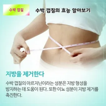 인천 수박껍질 음식물 일반쓰레기 과태료 피하는 법_6
