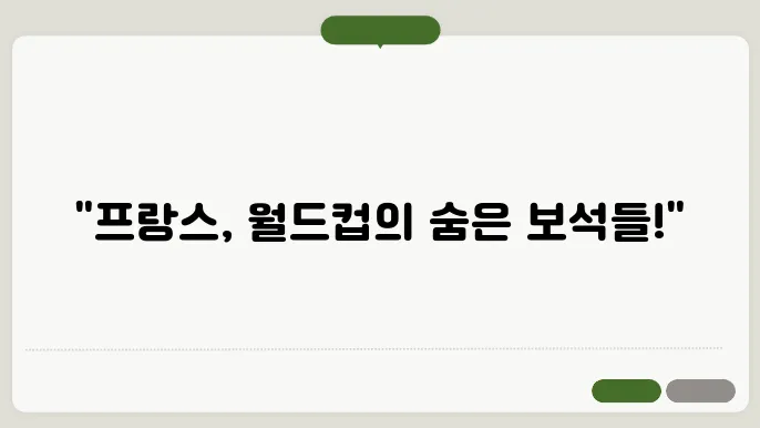 프랑스의 월드컵 준비