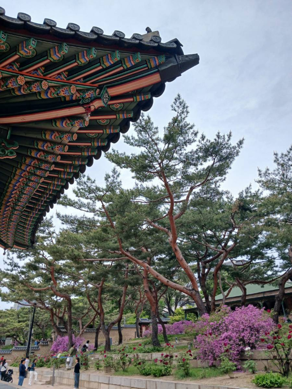 덕수궁 건물 처마