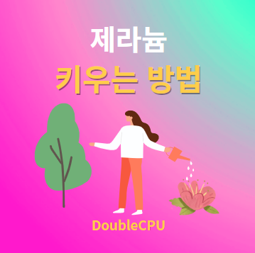 제라늄 키우기