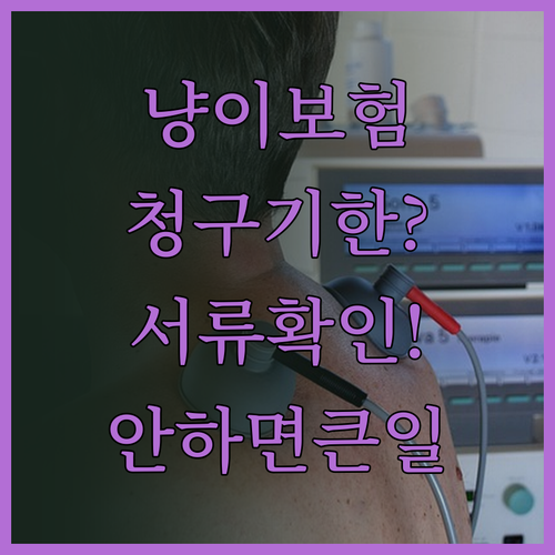 고양이 보험 청구 기한과 필요 서류 ..