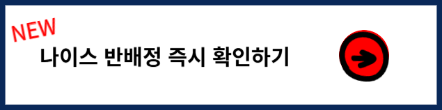 나이스 반배정 보는 법