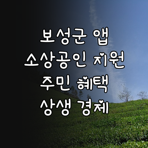 2025 보성군 먹깨비 앱: 소상공인..