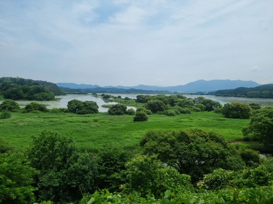 창녕 가볼만한곳 베스트10