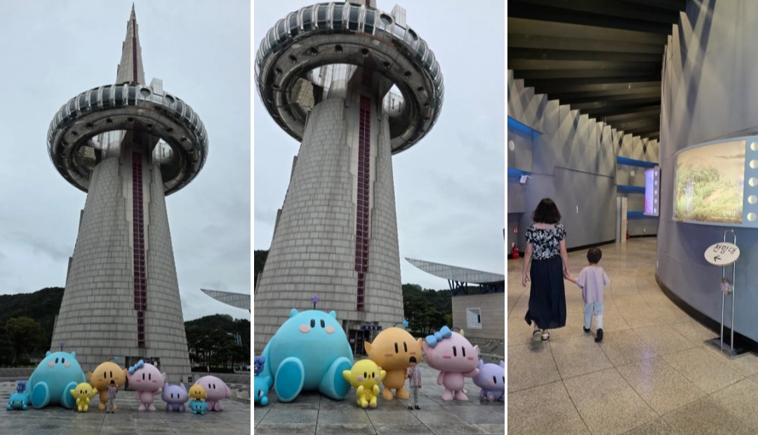 엑스포 한빛탑 전망대 & 카페 비노 방문 후기 (+주차)