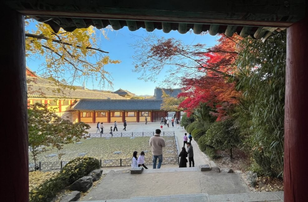 11월의 불국사 풍경