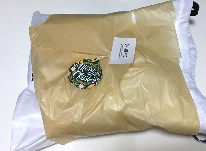 드메리엘-세이지백1