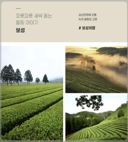 해랑열차 홈페이지, 가격14