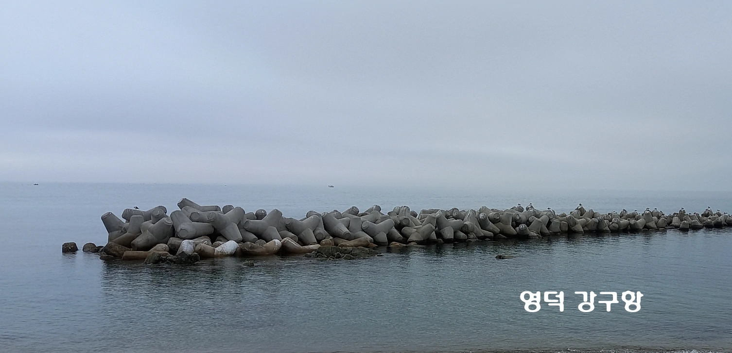 영덕 강구항