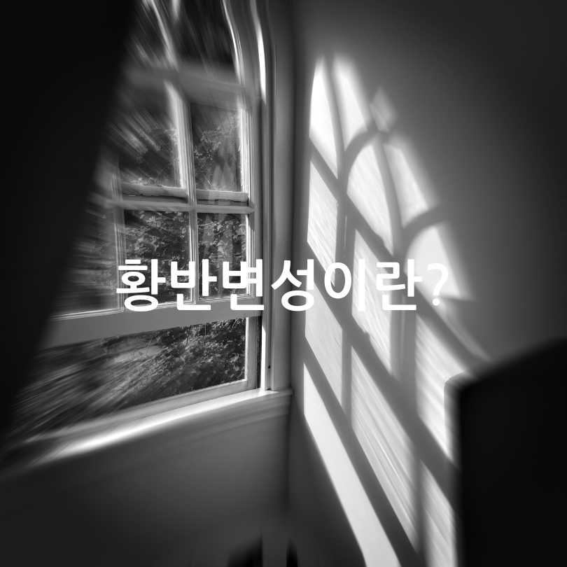 황반변성 자가진단&amp;#44; 치료법&amp;#44; 주사치료 가격