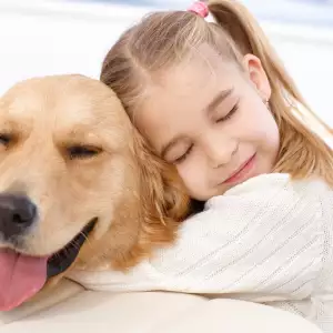 반려견 장례 절차 A to Z