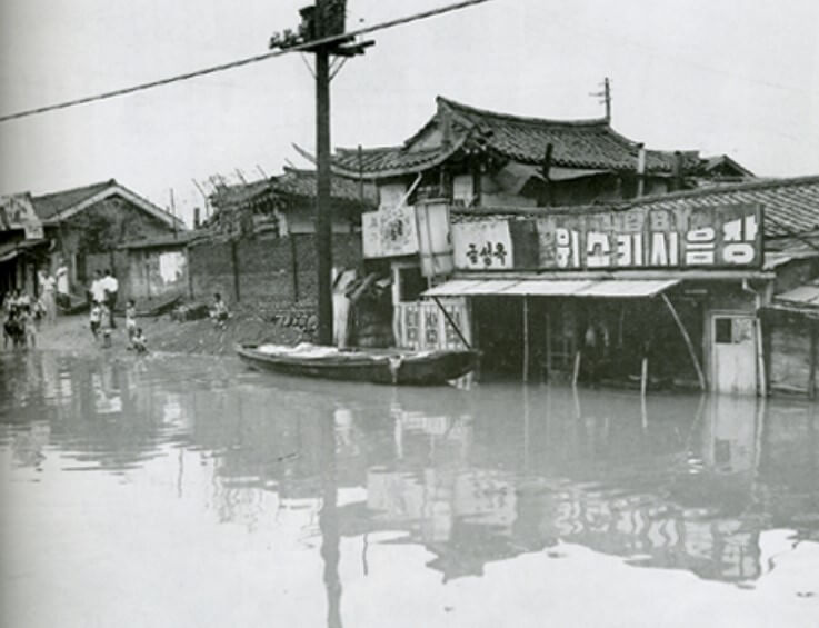 대한민국 태풍사라 피해