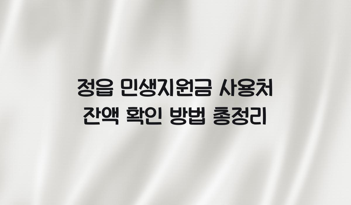 정읍 민생지원금 사용처 잔액 확인 방법 총정리