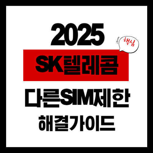 2025-다른SIM 사용제한