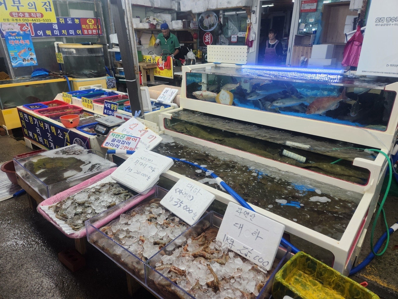 태안가볼만한곳