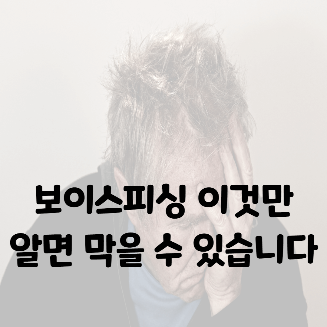 보이스피싱
