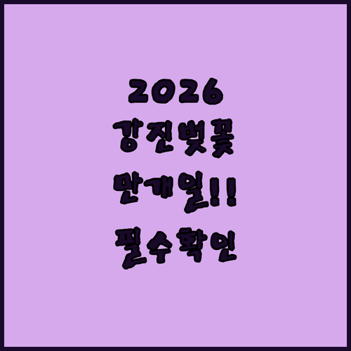 2026 강진 벚꽃 만개 예상일과 방..