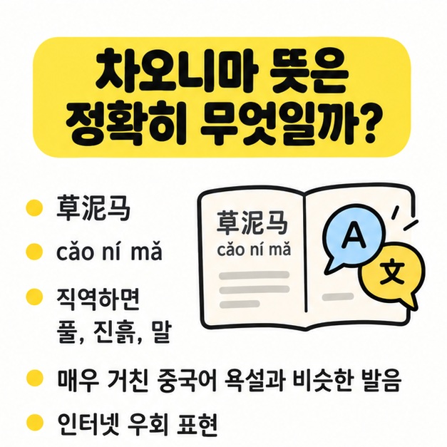 草泥马가 중국어 욕설과 비슷한 발음을 이용한 인터넷 은어임을 설명하는 그림