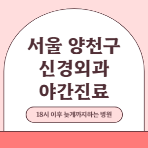 서울 양천구 야간진료 신경외과 병원 (18시 이후 늦게까지하는 병원)