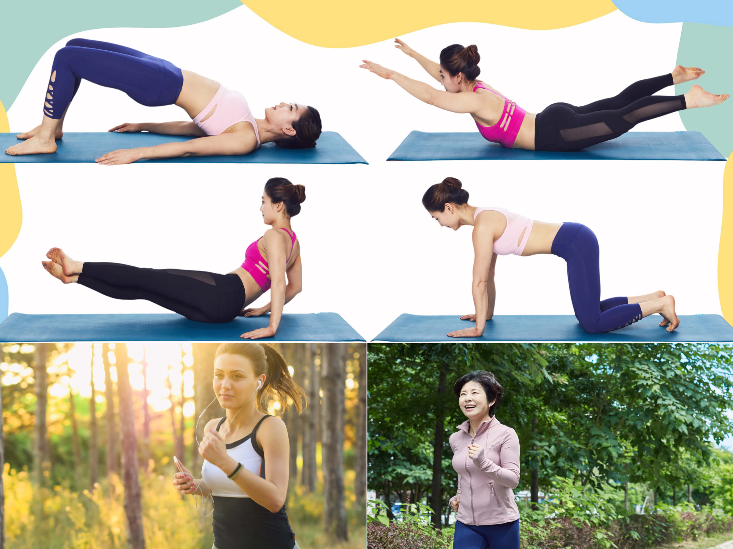 운동: 가동성 유연성