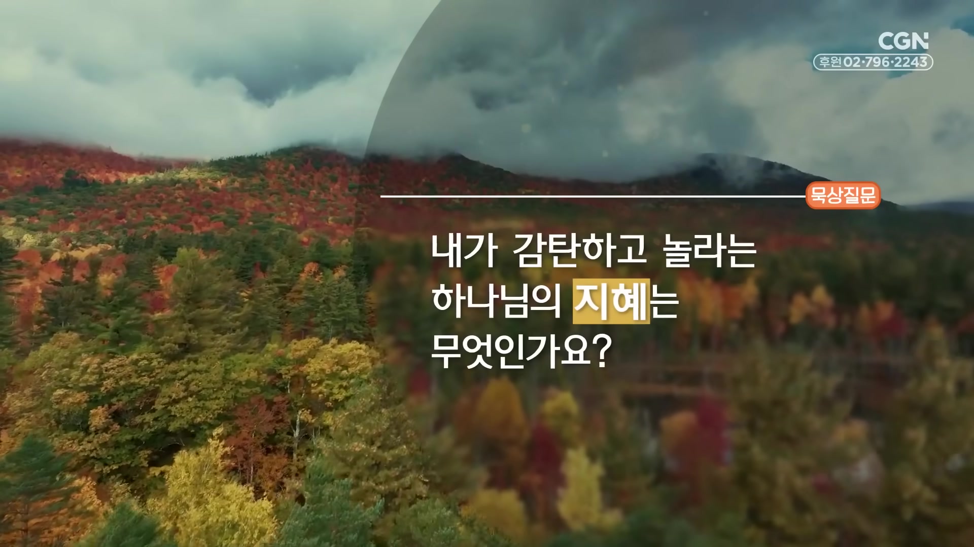 내가 감탄하고 놀라는 하나님의 지혜는 무엇인가요?