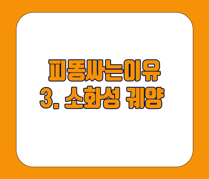 피똥싸는 이유 - 소화성 궤양