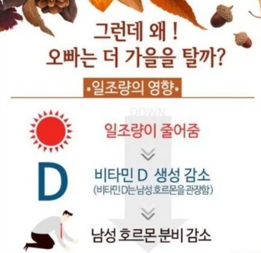 [계절성 우울증] 남자들이 가을에 우울해지는 이유 - 가을타는 남자 증상