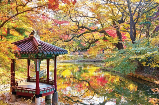 창덕궁 후원 예약