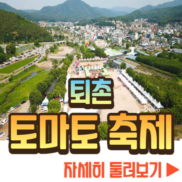 퇴촌 토마토 축제 자세히 보기